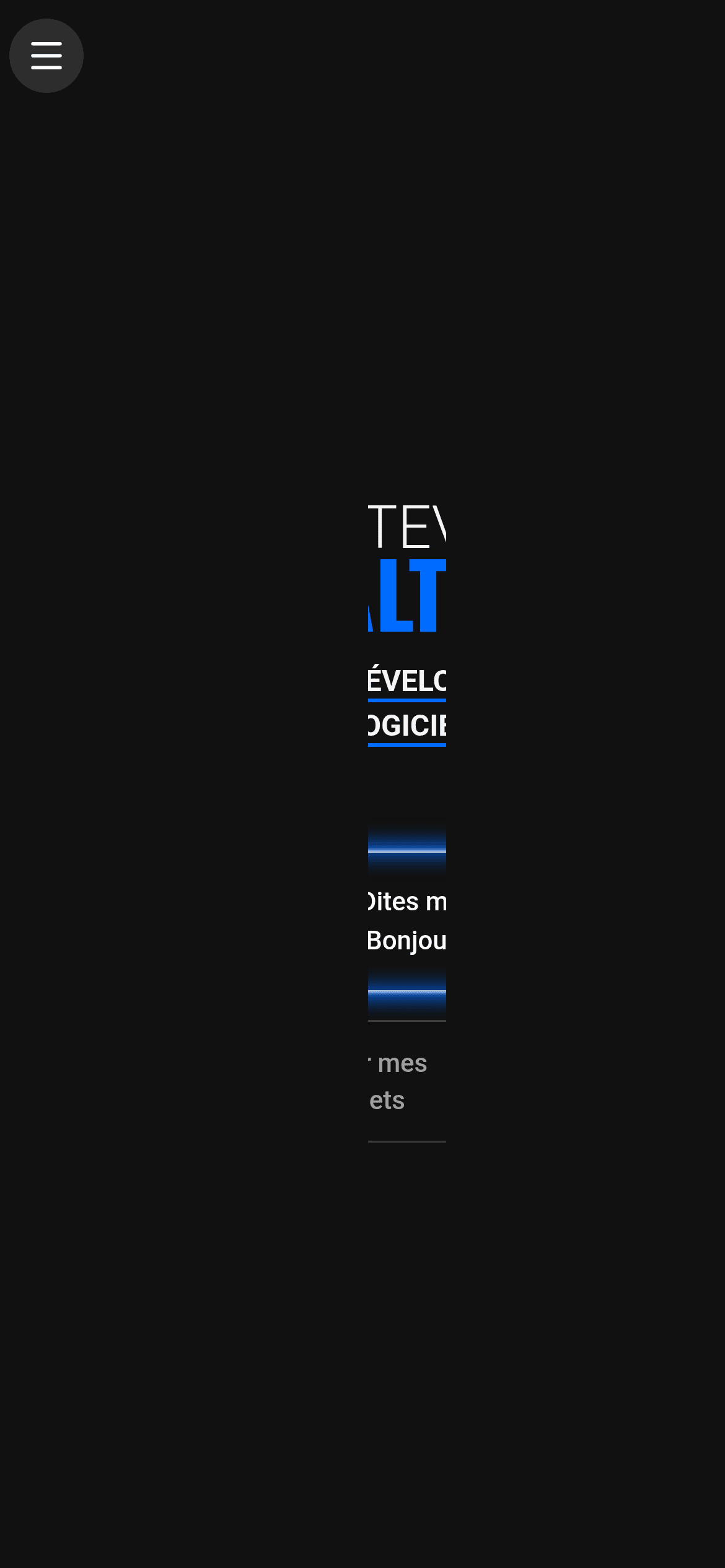 Site Web Portfolio — Steve Maltais - aperçu 2
